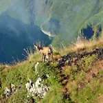 Mobil Avec Terrasse - 3 Pers. - Api-1-52-2025 La Tour-dʼAuvergne