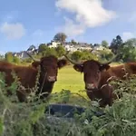 Kemping Mobil Avec Terrasse - 3 Pers. - Api-1-52-2025 *