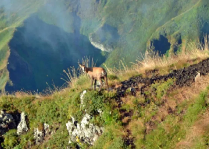 Mobil Avec Terrasse - 3 Pers. - Api-1-52-2025 Ла-Тур-д'Овернь