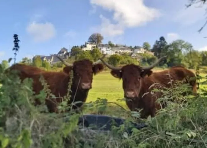 Кемпинг Mobil Avec Terrasse - 3 Pers. - Api-1-52-2025 *